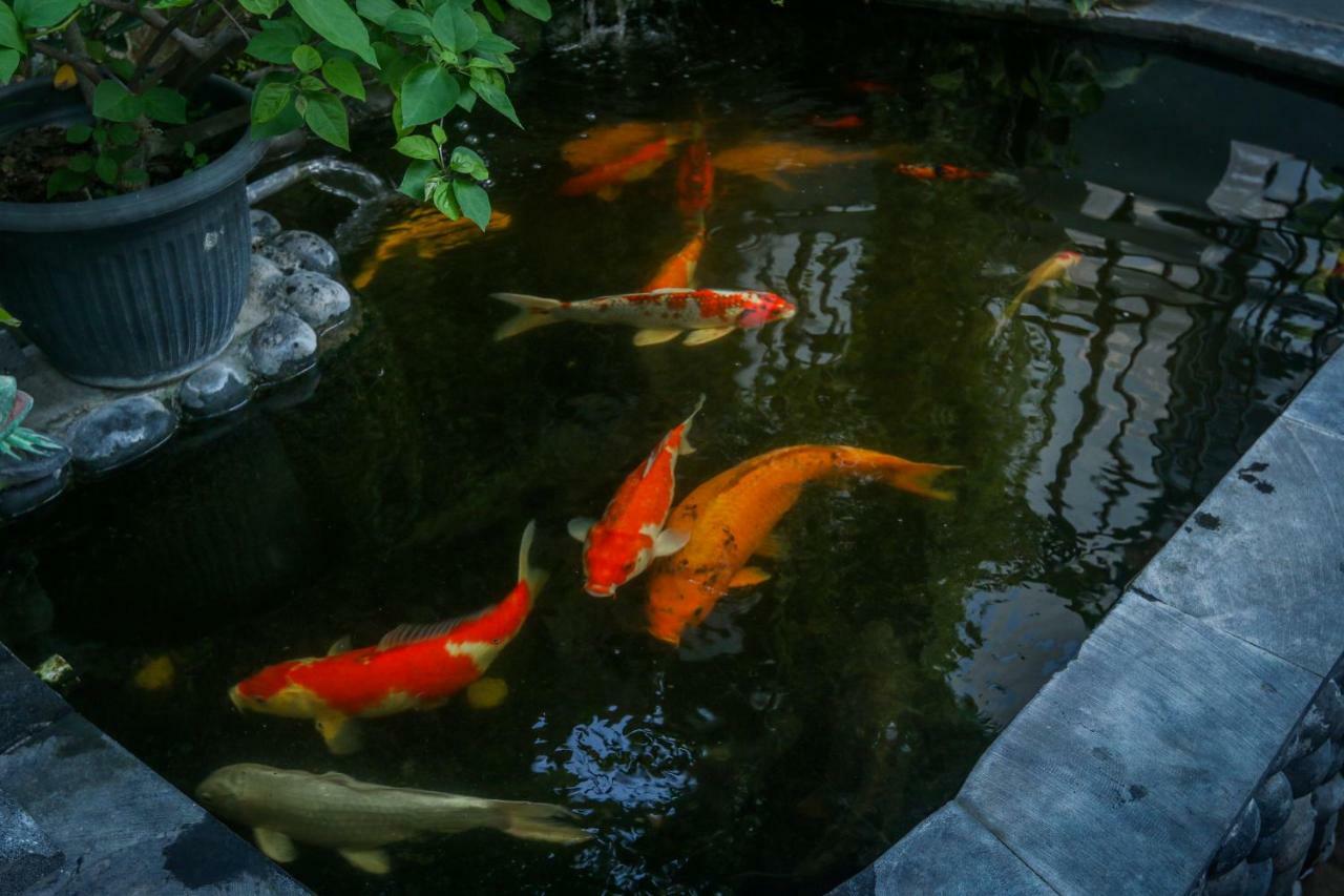 Sekar Waru Homestay Sanur Dış mekan fotoğraf
